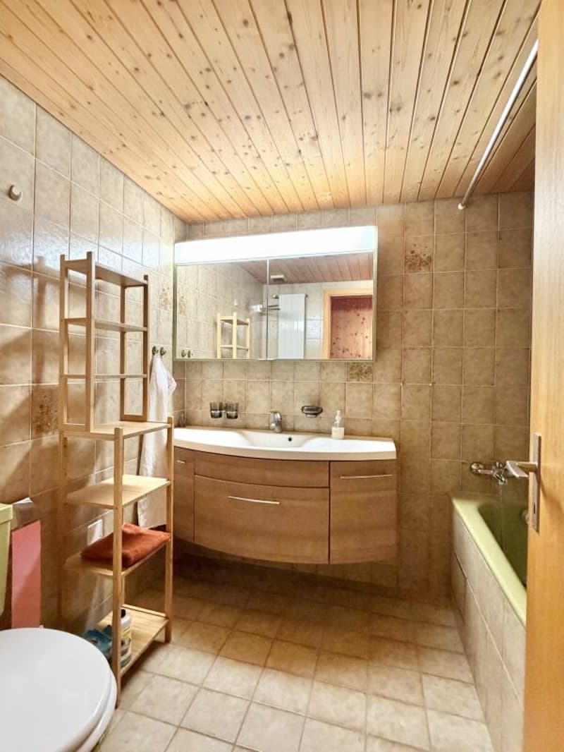 Bauernhaus Renovationsobjekt (9)