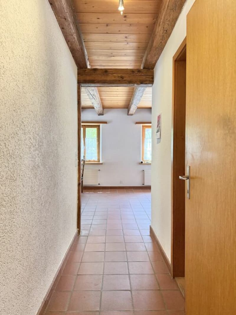 Bauernhaus Renovationsobjekt (5)