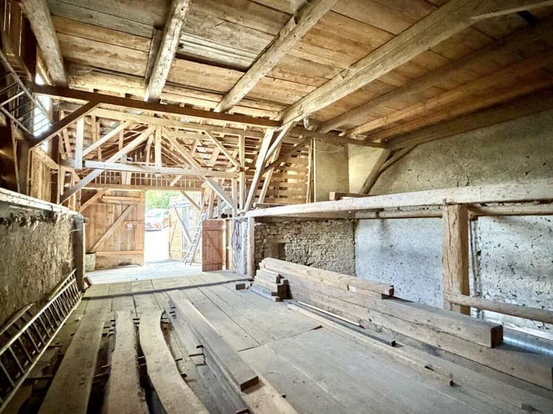 Bauernhaus Renovationsobjekt (15)