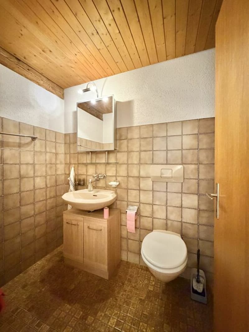 Bauernhaus Renovationsobjekt (6)