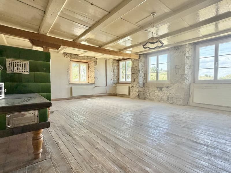 Bauernhaus Renovationsobjekt (27)
