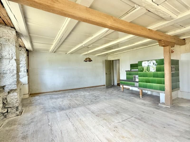 Bauernhaus Renovationsobjekt (28)