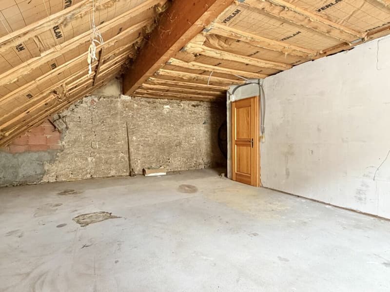 Bauernhaus Renovationsobjekt (22)