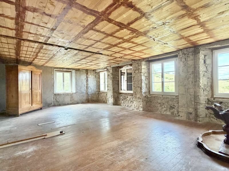 Bauernhaus Renovationsobjekt (11)