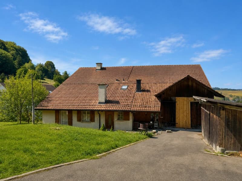 Bauernhaus Renovationsobjekt (3)