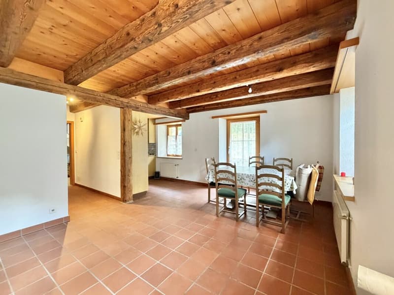 Bauernhaus Renovationsobjekt (7)