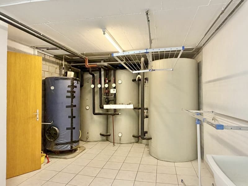 Bauernhaus Renovationsobjekt (30)