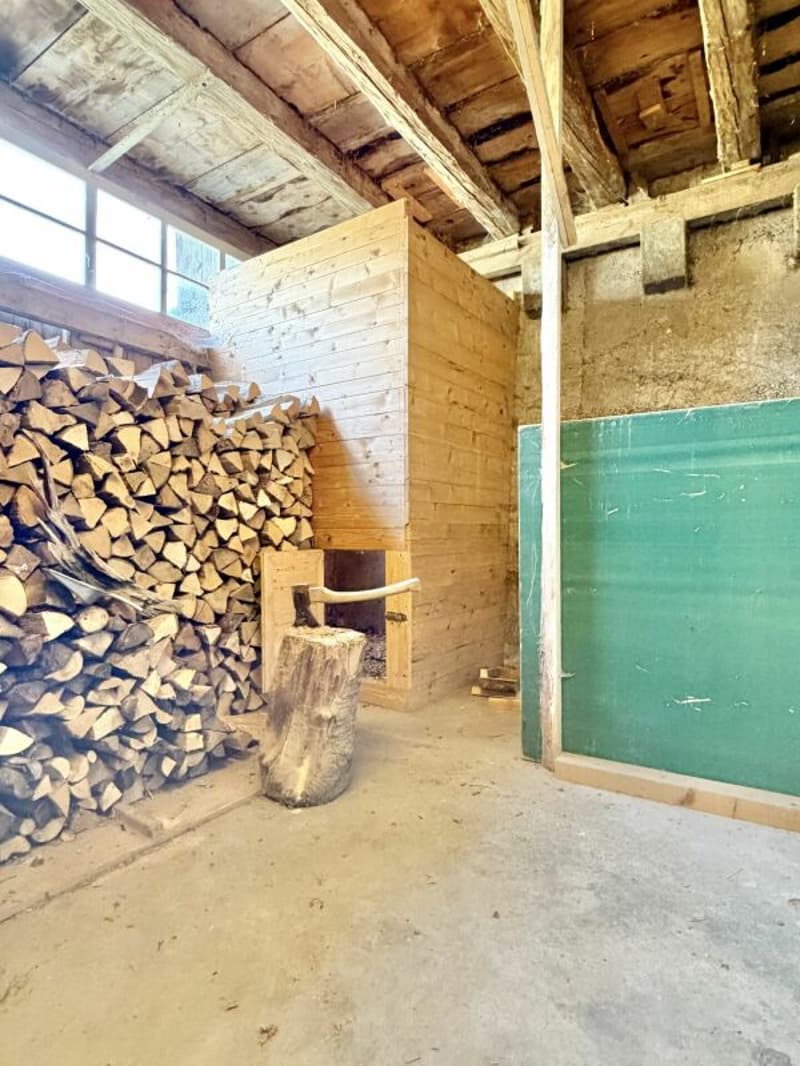 Bauernhaus Renovationsobjekt (32)