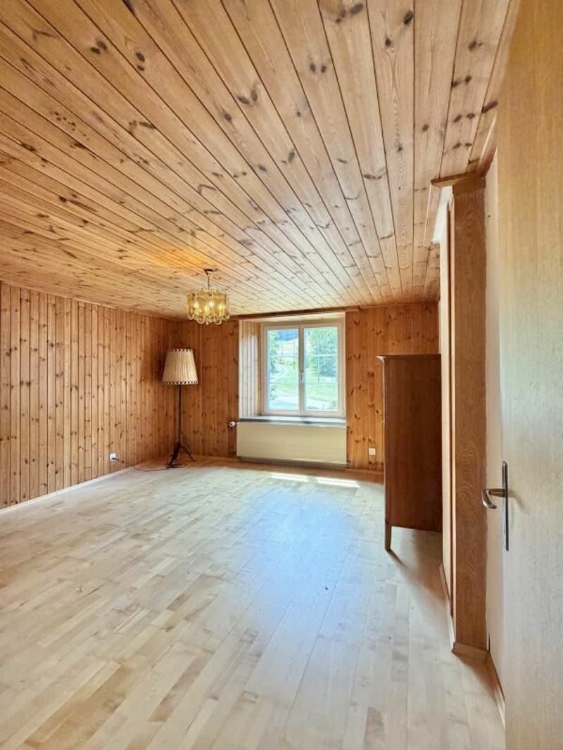 Bauernhaus Renovationsobjekt (10)