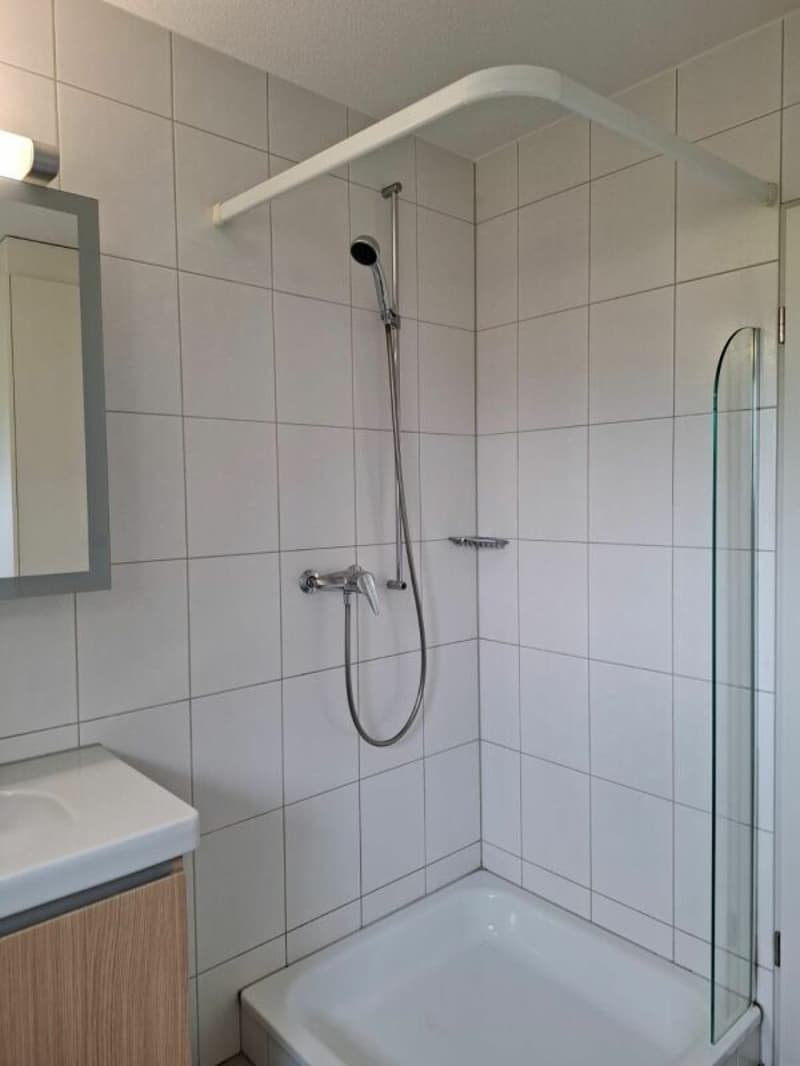 SCHÖNE WOHNUNG MIT GROSSEM BALKON (12)