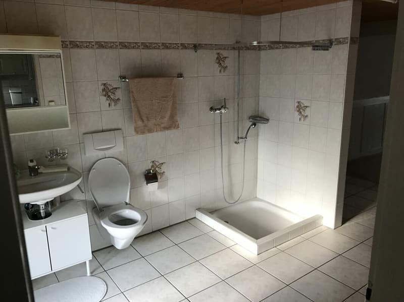 Kaisten / 2.5 Zimmer-Wohnung (5)