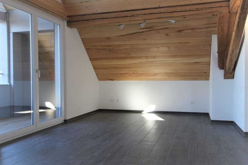 3.5 Zimmer-Dachgeschosswohnung (4)