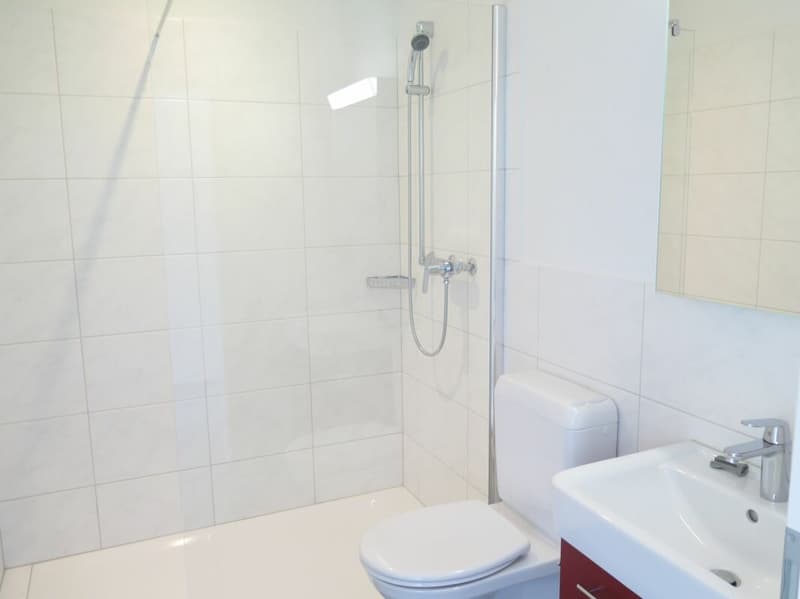 Brugg / 2.5 Zimmer Wohnung 3.3 (7)
