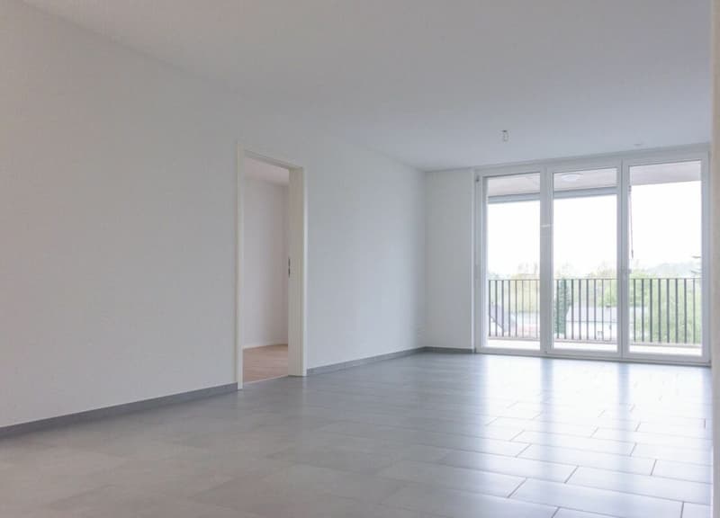 Brugg / 2.5 Zimmer Wohnung 3.3 (5)
