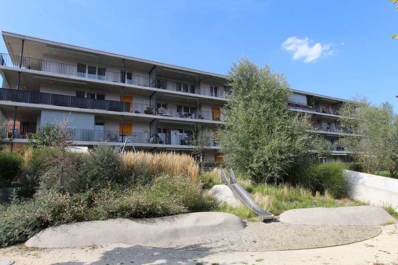 Brugg / 2.5 Zimmer Wohnung 3.3 (1)