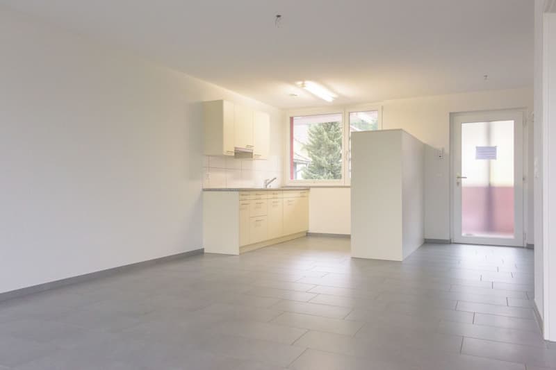 Brugg / 2.5 Zimmer Wohnung 3.3 (3)