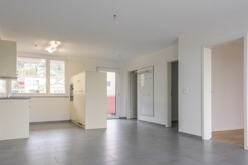 Brugg / 2.5 Zimmer Wohnung 3.3 (4)