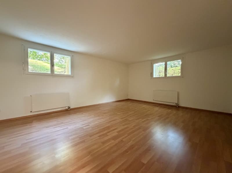 Frick / Freistehendes Einfamilienhaus (24)