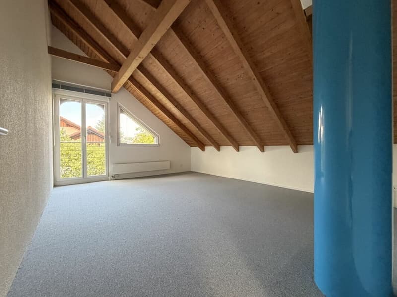 Frick / Freistehendes Einfamilienhaus (19)