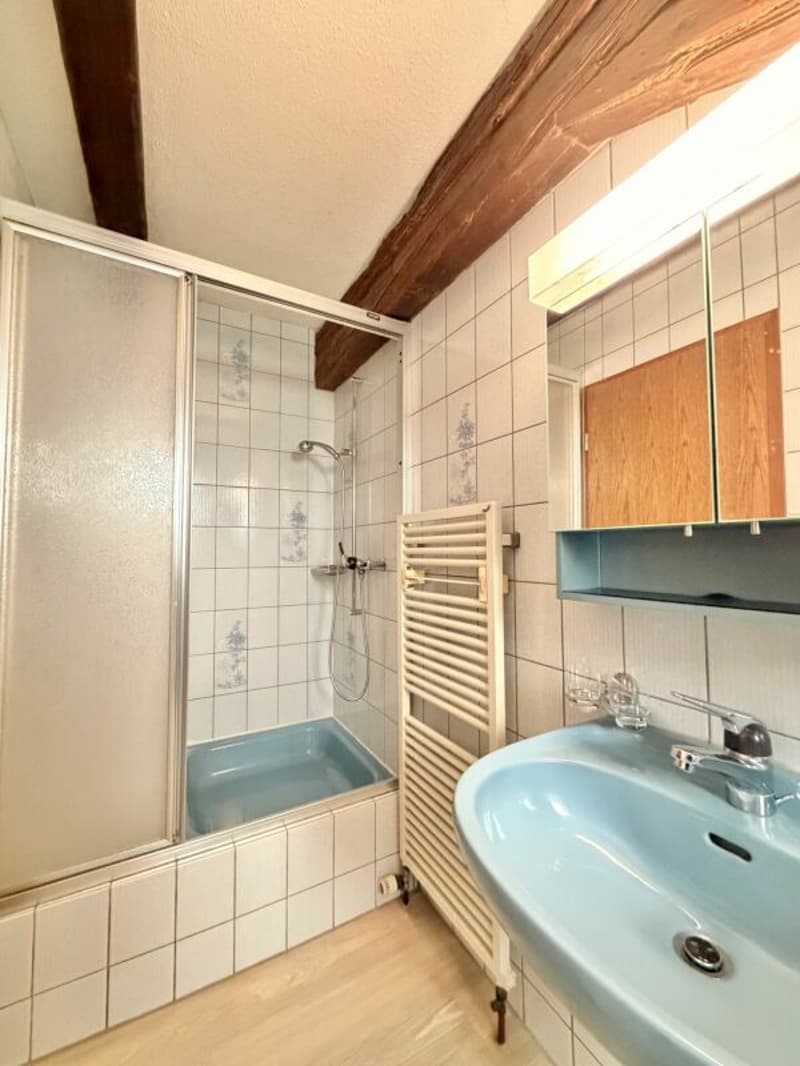 Frick / 5.5 Zimmer Bauernhaus (21)