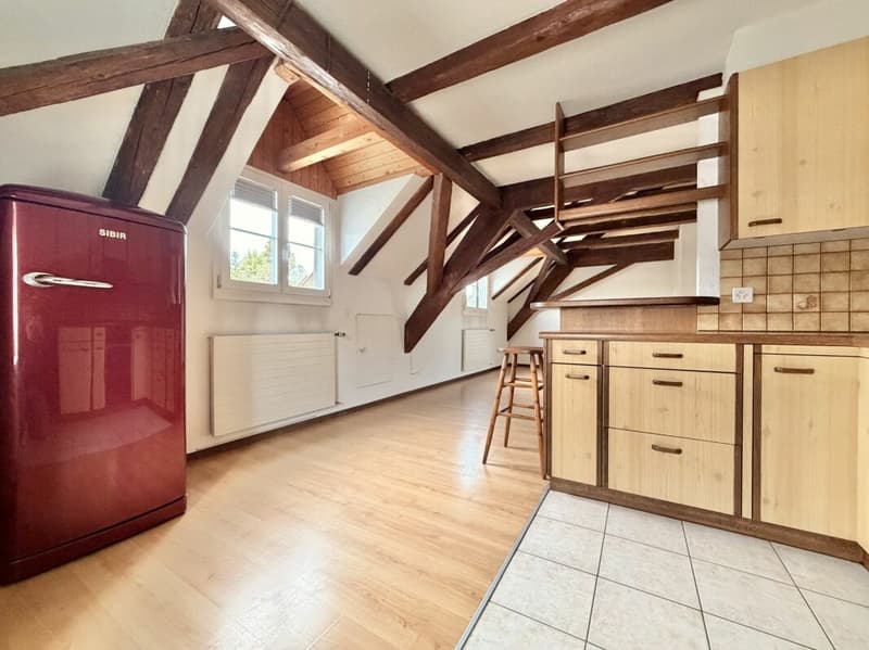 Frick / 5.5 Zimmer Bauernhaus (17)