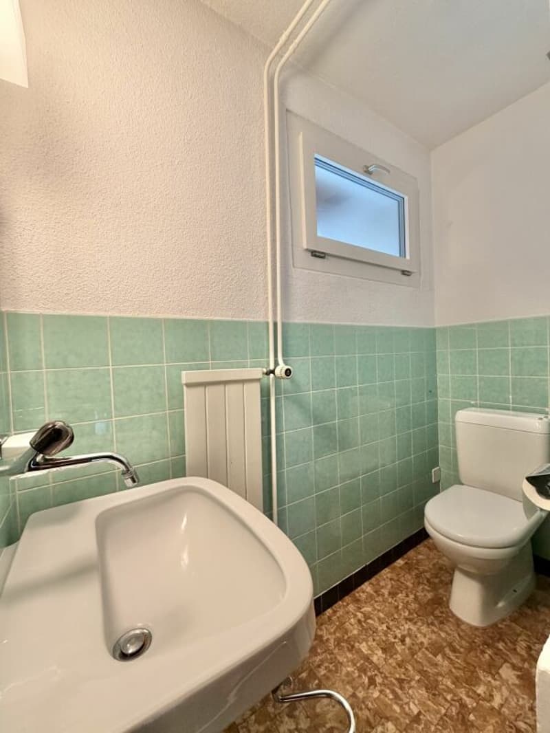Frick / 5.5 Zimmer Bauernhaus (8)
