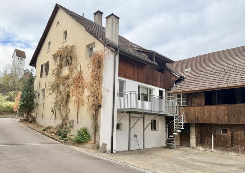 Frick / 5.5 Zimmer Bauernhaus (26)