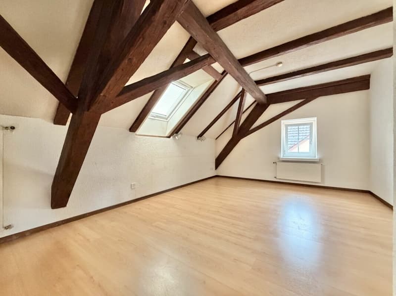 Frick / 5.5 Zimmer Bauernhaus (23)