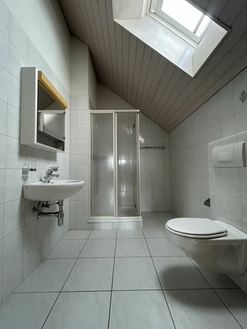 Frick / 5.5 Zimmer-Maisonettewohnung (18)