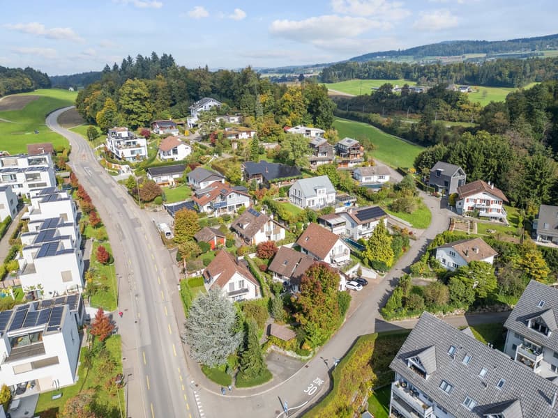 Row of residential houses along a road, several with solar panels on roofs, surrounded by trees and greenery.