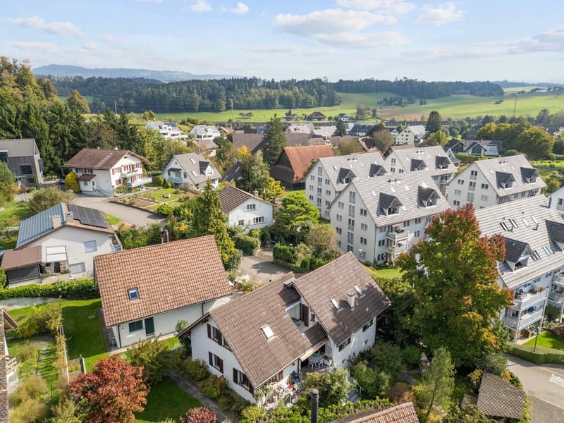 Several houses in a neighbourhood, with brown roofs, large windows, small gardens, and trees.