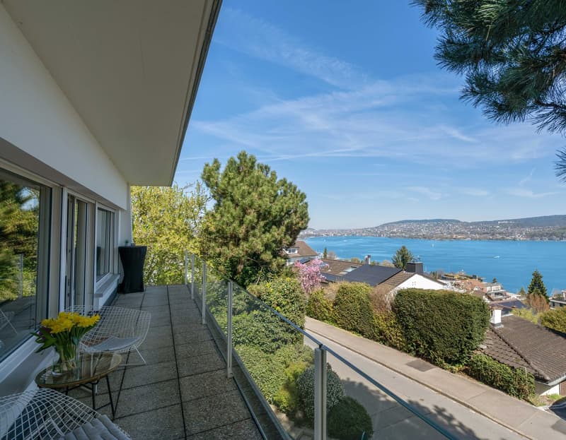 Einfamilienhaus mit hervorragender Weitsicht über den Zürichsee (4)