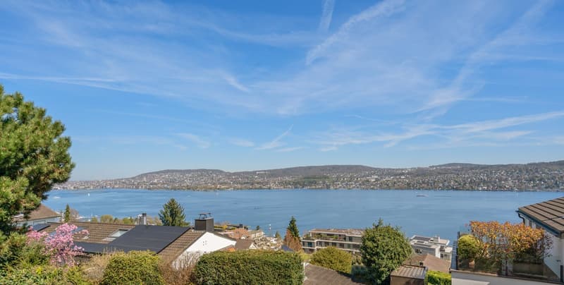 Einfamilienhaus mit hervorragender Weitsicht über den Zürichsee (1)