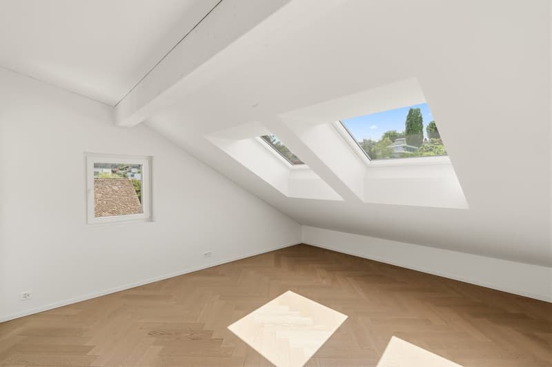 Dreamy bright apartment with full lake view and 3 terraces (7)