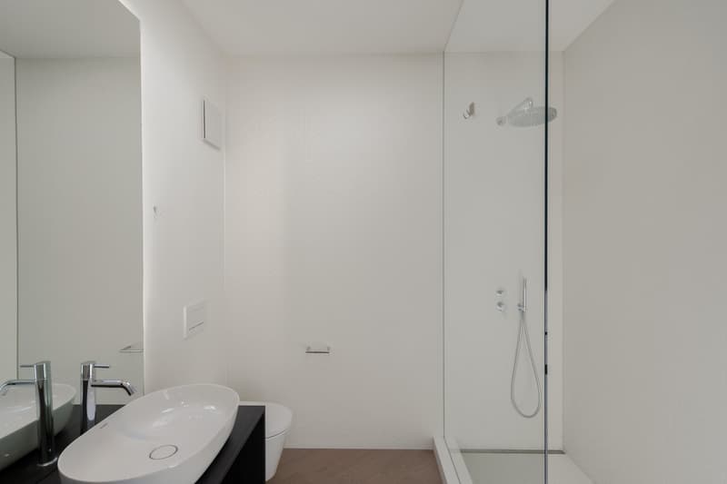 Dreamy bright apartment with full lake view and 3 terraces (5)