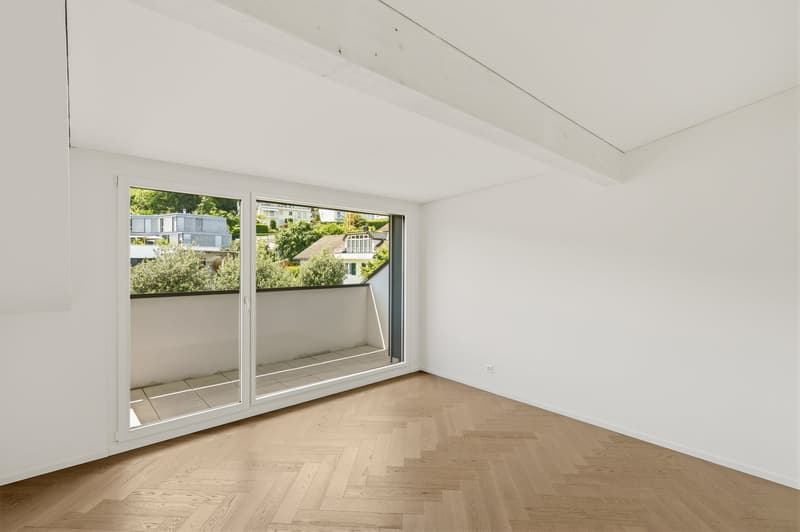 Dreamy bright apartment with full lake view and 3 terraces (8)