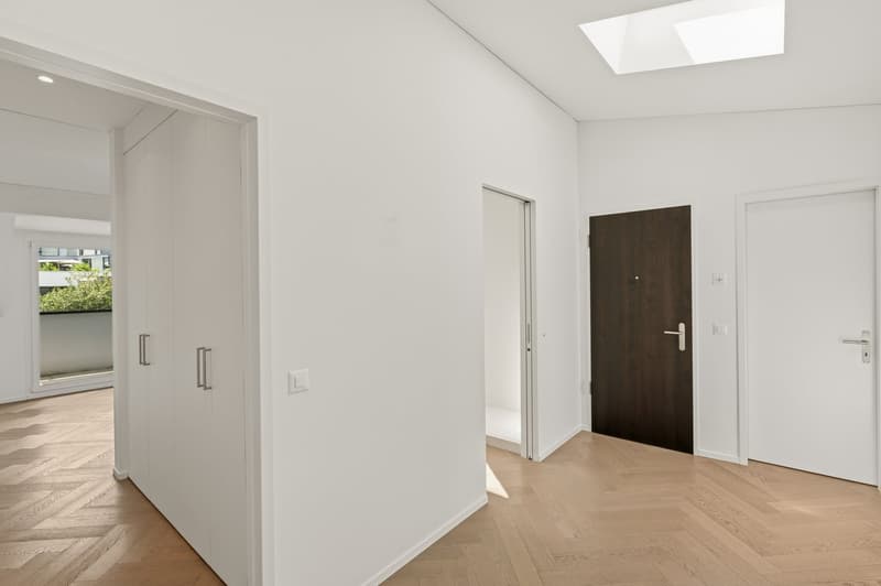 Dreamy bright apartment with full lake view and 3 terraces (6)