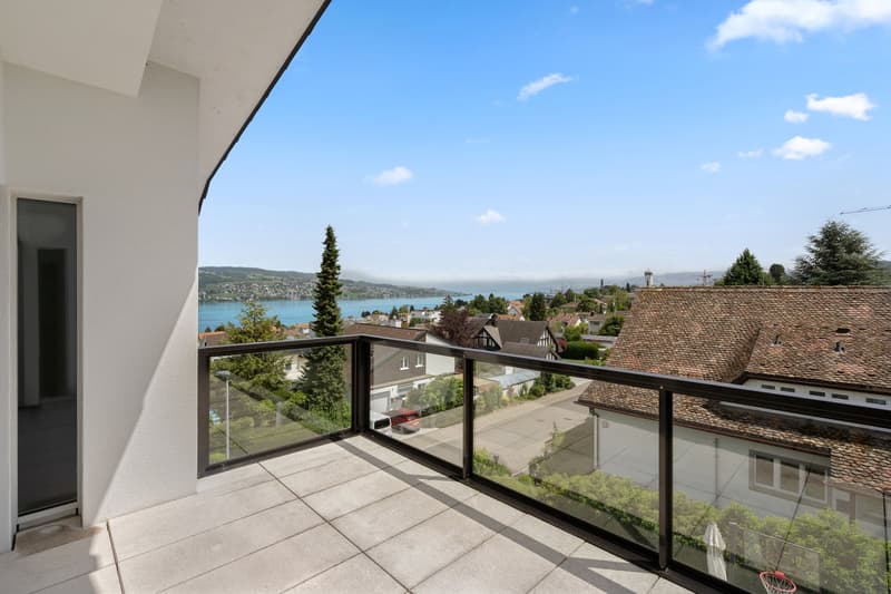 Dreamy bright apartment with full lake view and 3 terraces (4)