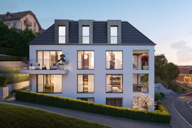 Wohnen an zentralster Lage in Thalwil (2)