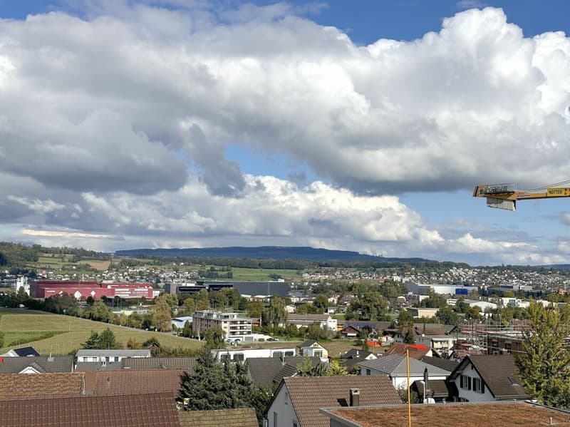 Exklusive Attika-Studiowohnung mit 93 m² Terrasse und Weitsicht (10)