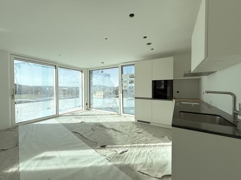 Exklusive Attika-Studiowohnung mit 93 m² Terrasse und Weitsicht (4)