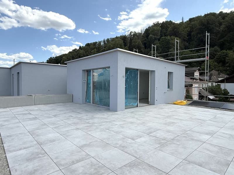 Exklusive Attika-Studiowohnung mit 93 m² Terrasse und Weitsicht (2)