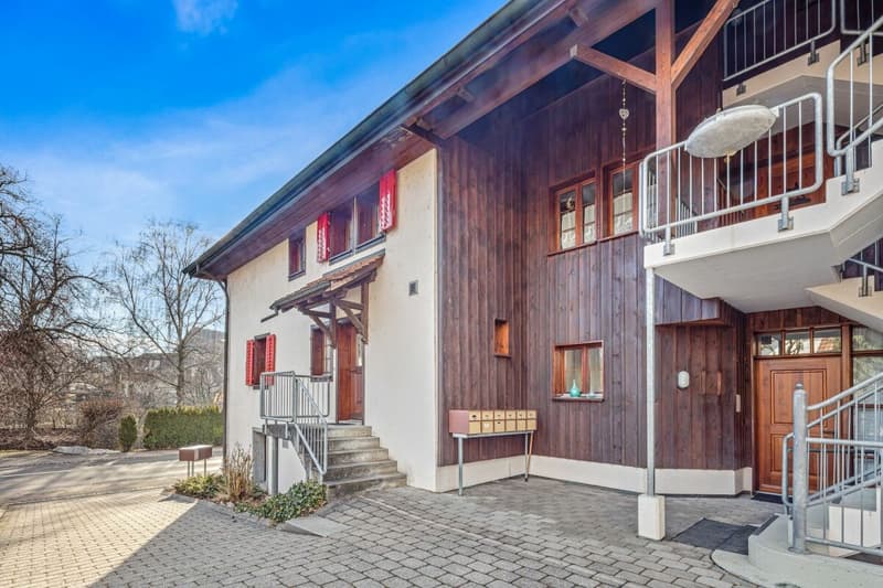 Appartamento maisonette di 4,5 locali accogliente (1)