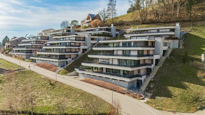 Résidence Alpstein : Maison de terrasse exclusive de 6 pièces avec vue panoramique spectaculaire (15)