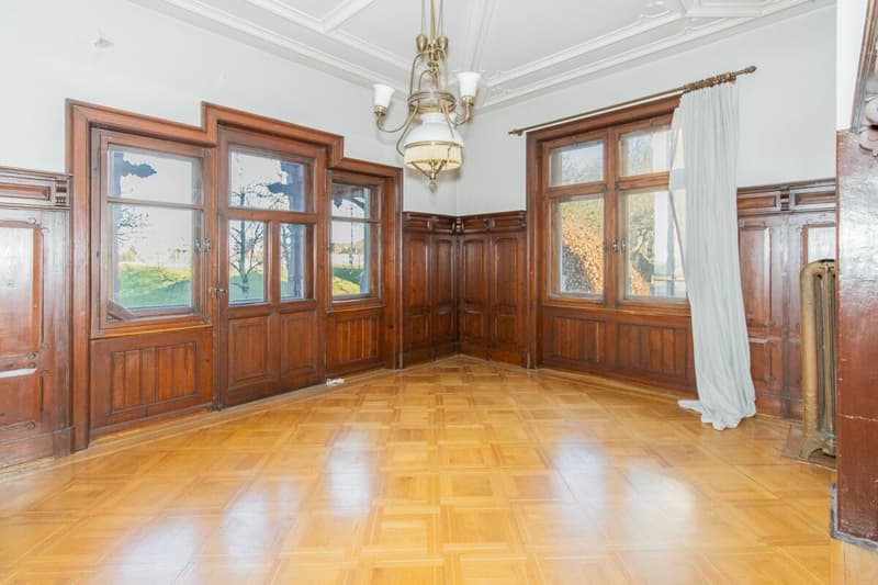Villa de ville élégante de 15,5 pièces dans un emplacement de parc préféré (6)