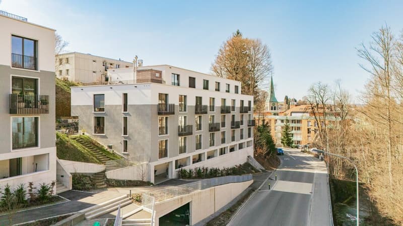 Das Beste aus Stadt und Natur - Stilvolles 5.5-Zimmer-Townhouse mit Dachterrasse (2)