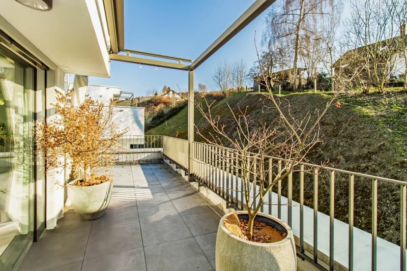 Das Beste aus Stadt und Natur - Stilvolles 5.5-Zimmer-Townhouse mit Dachterrasse (5)