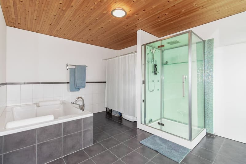Maison d'architecte caractérisée de 4,5 pièces - Architecture moderne en bois avec vue imprenable (13)