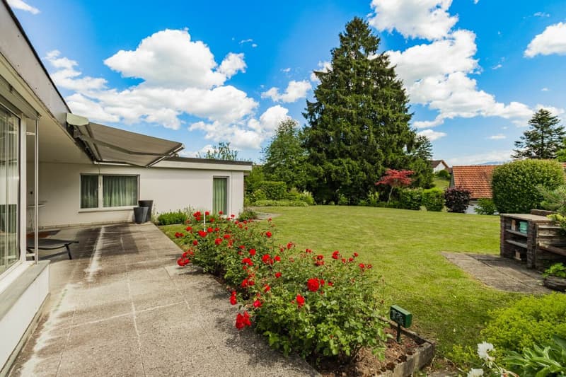 Rare Opportunity - Premium Location with Development Potential (6)