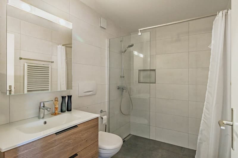 Appartamento di 2,5 locali modernizzato con balcone & garage singolo (6)